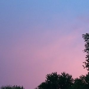 Meet your Posher, Candice